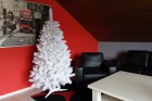 Galerie - NETRADIČNÍ STROMKY